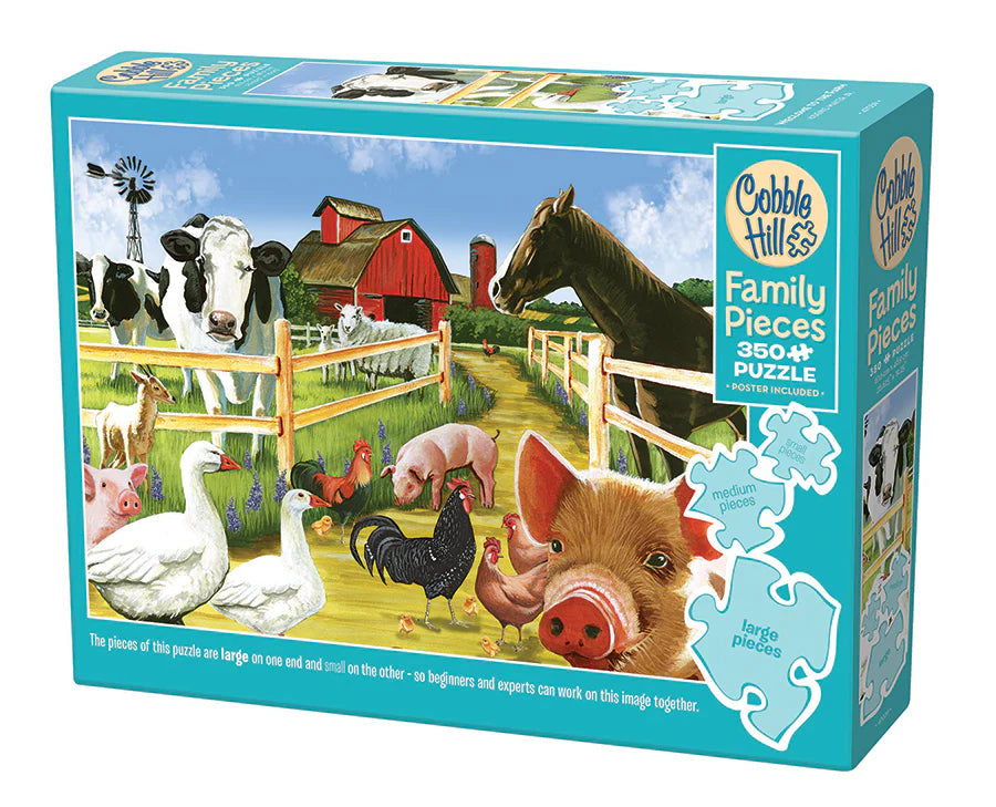 350 Piece Family Puzzle