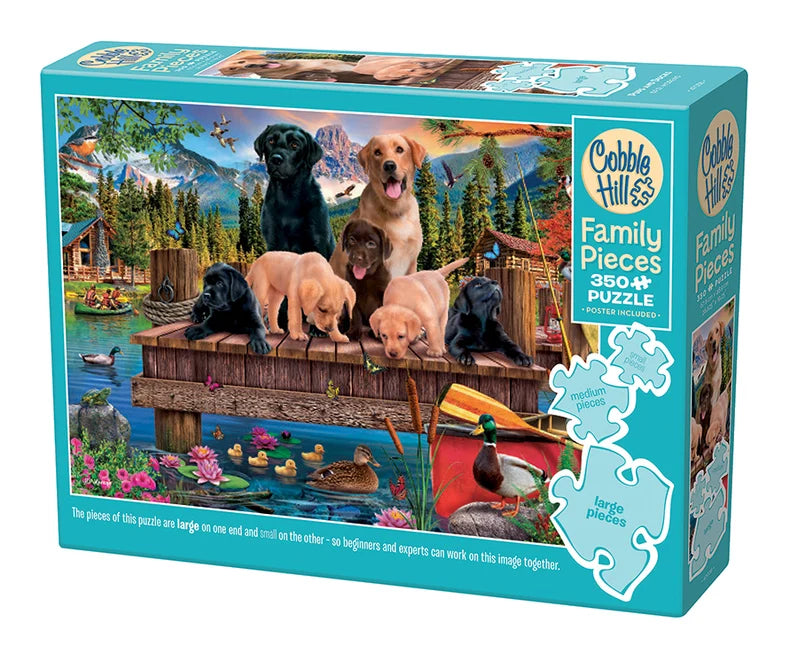 350 Piece Family Puzzle