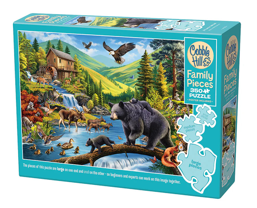 350 Piece Family Puzzle