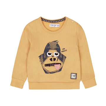 Baby Boys Monkey Sweater