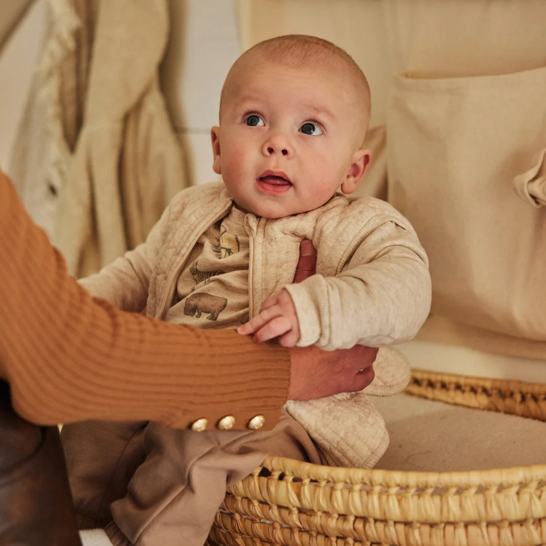 Boy's 3 Piece Set