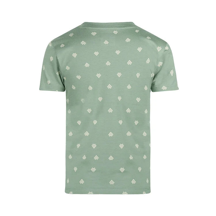 Boys' Sage Green T-shirt