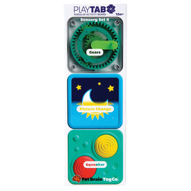 PlayTab Module Sensory Board