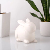 Ceramic Piggy Bank