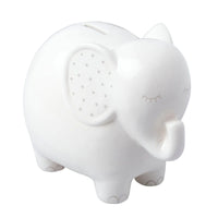 Ceramic Piggy Bank