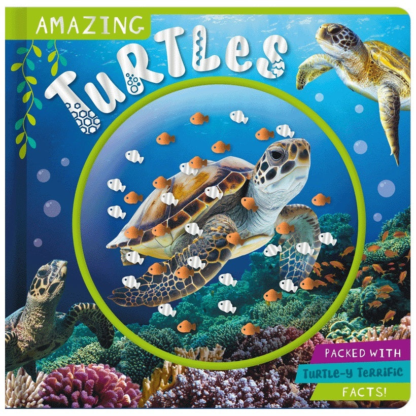 Amazing Turtles Book