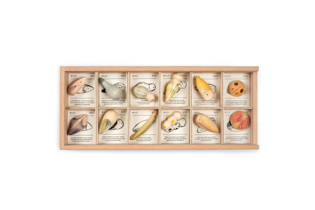 Wood Wild 12pcs with tray