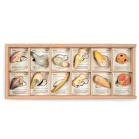 Wood Wild 12pcs with tray