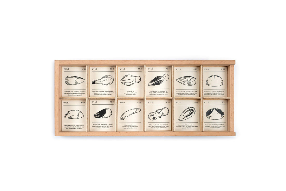 Wood Wild 12pcs with tray