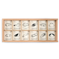 Wood Wild 12pcs with tray