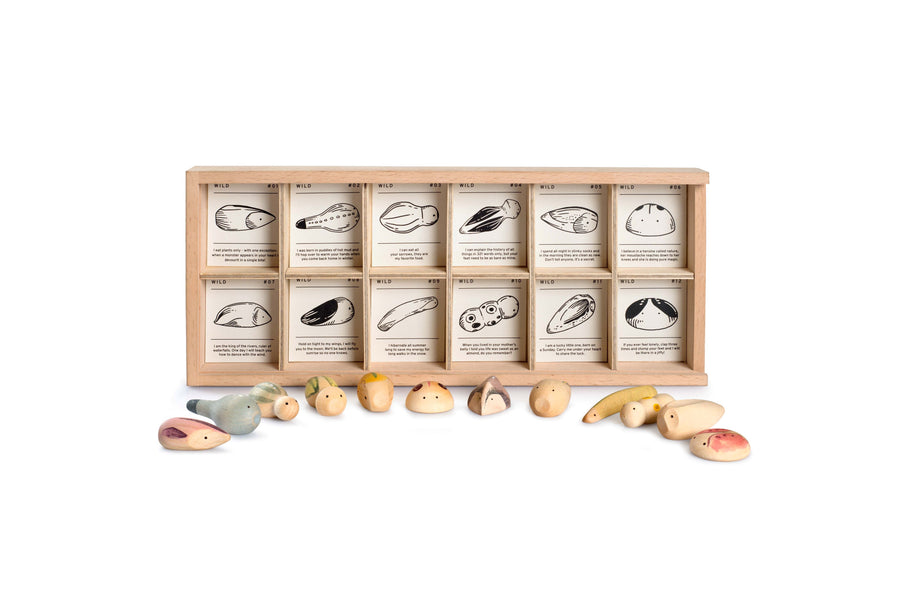 Wood Wild 12pcs with tray