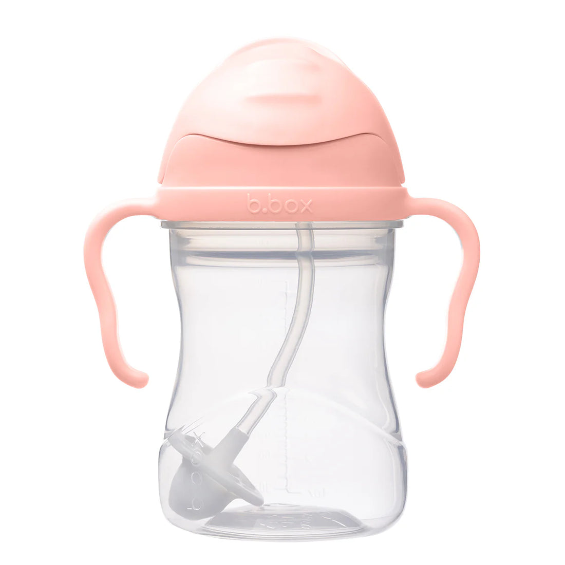 Sippy Straw Cup