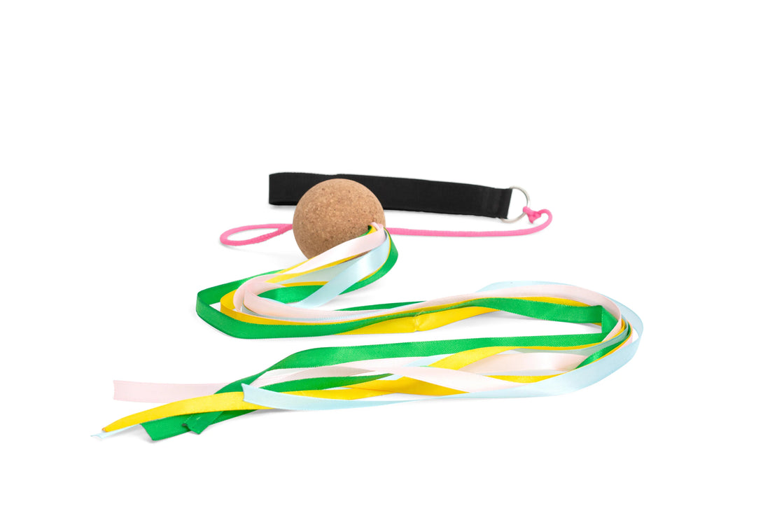 Poi Sling