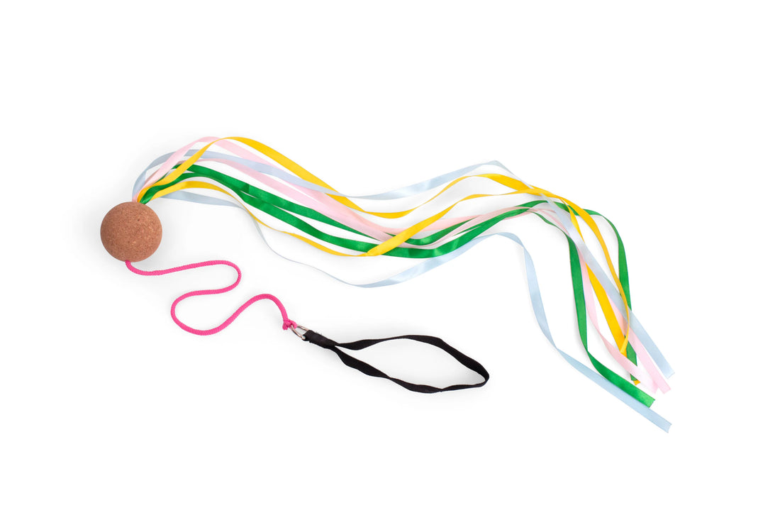 Poi Sling
