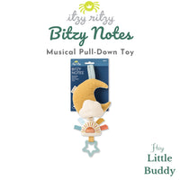 Bitzy Notes Musical Pull Down Toy