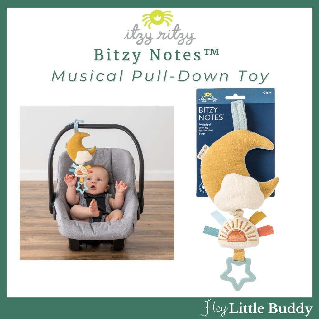 Bitzy Notes Musical Pull Down Toy