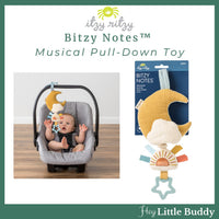 Bitzy Notes Musical Pull Down Toy