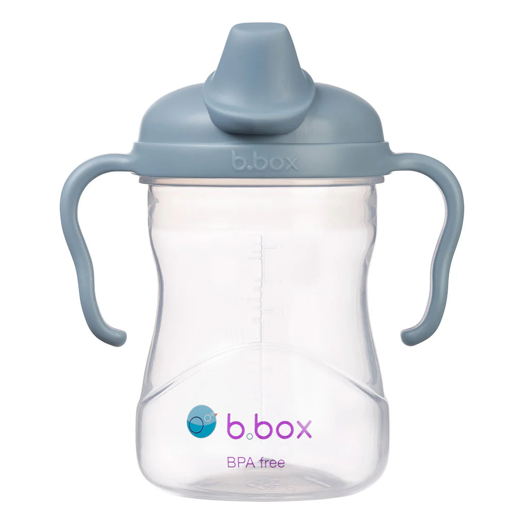 Spout Sippy Cup
