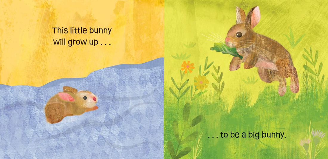 Baby Animals: Bunnies Know & Grow Board Book
