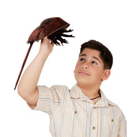 Horseshoe Crab Puppet