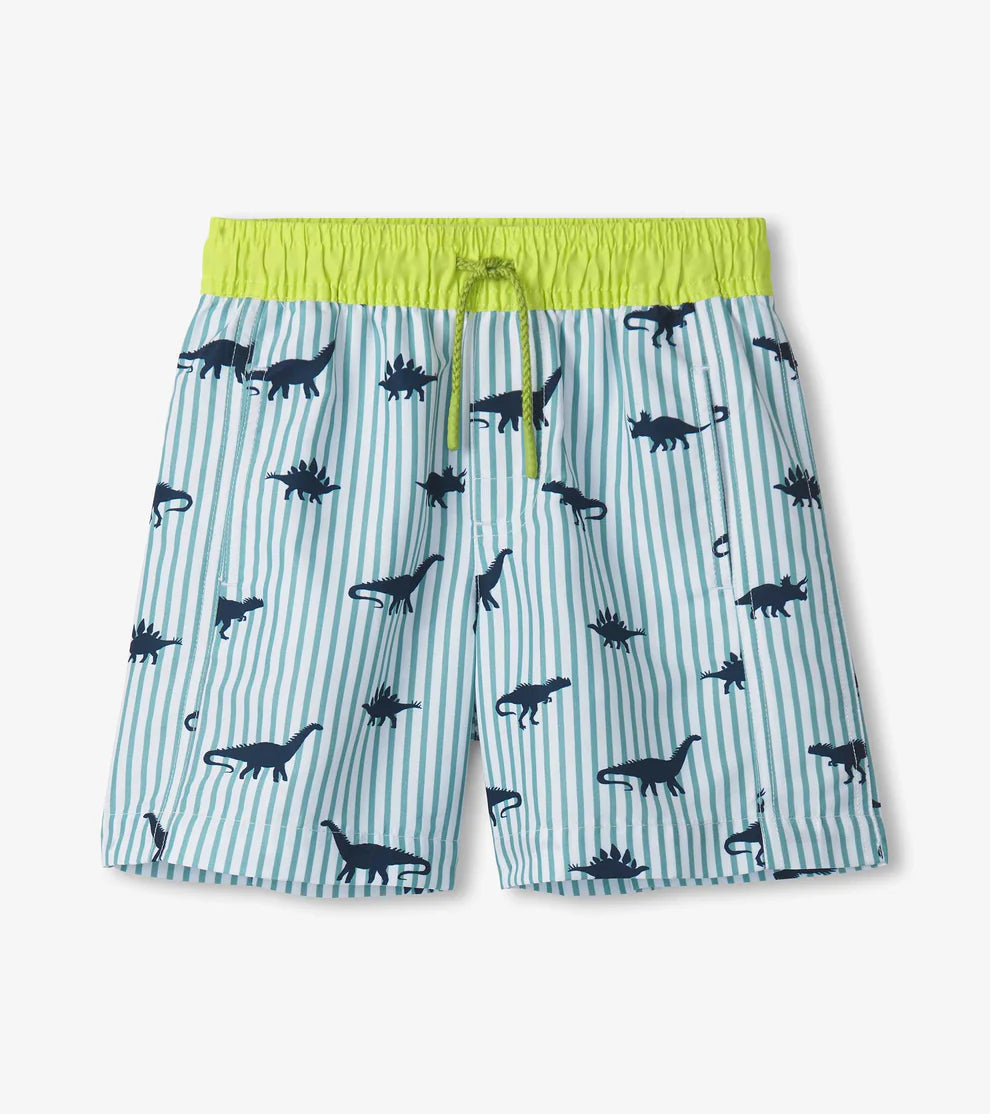 Dino Stripes Swim Trunks