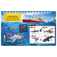 Explorer Sharks Activity Book