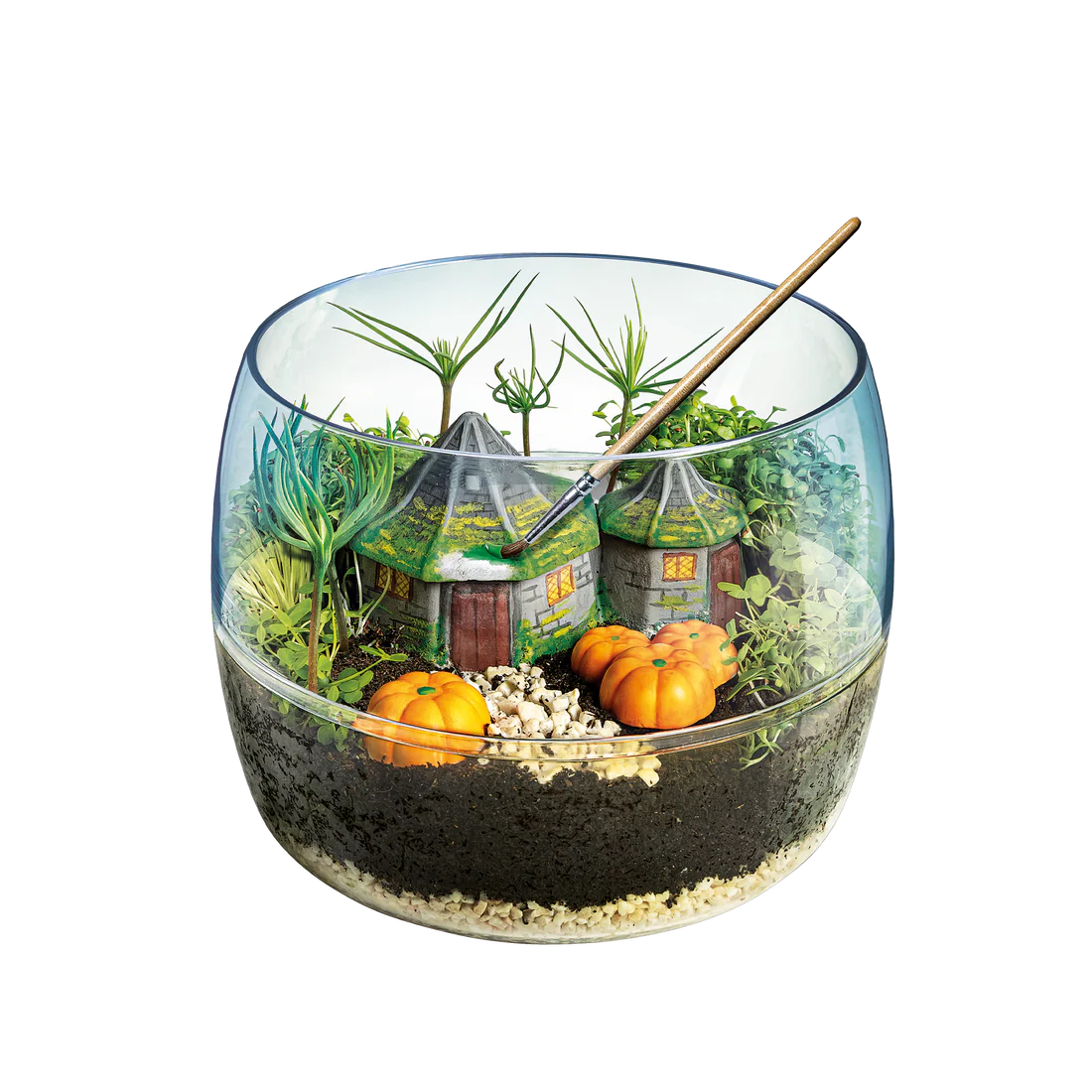 Build Your Own Terrarium