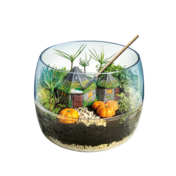 Build Your Own Terrarium