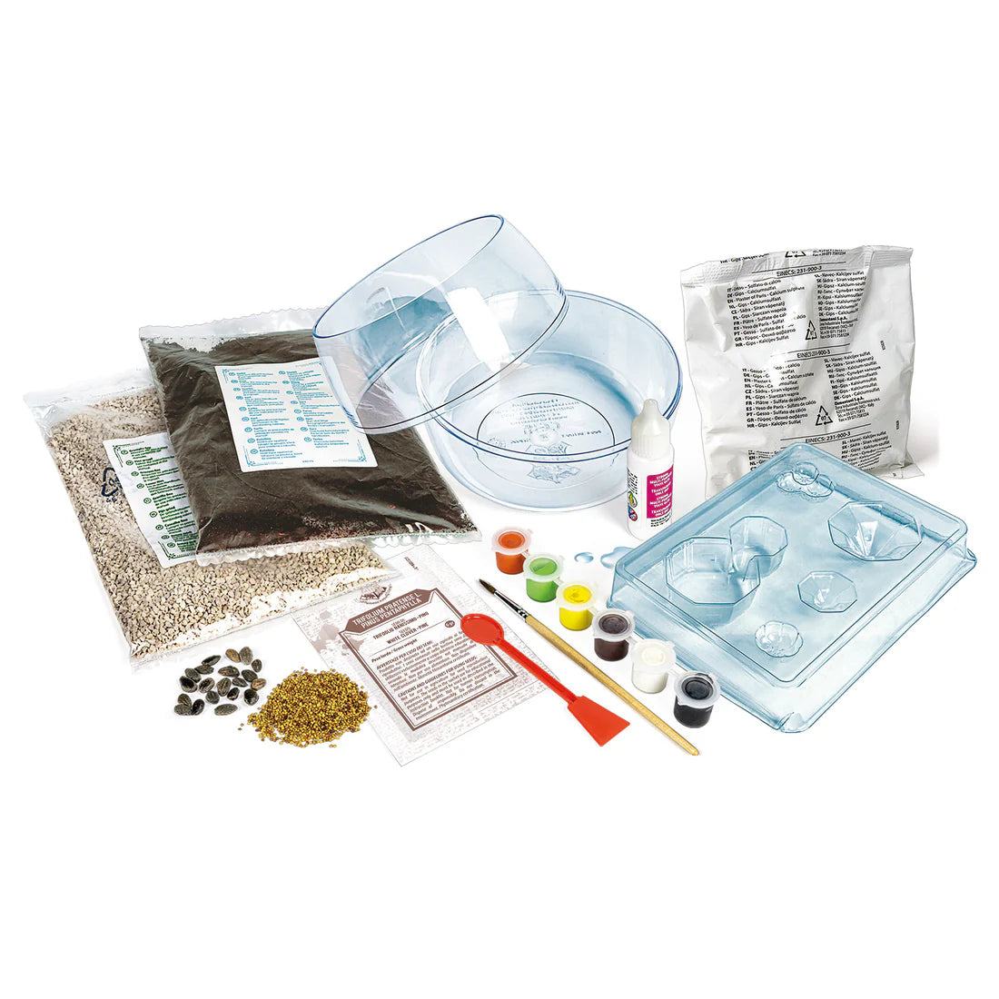 Build Your Own Terrarium
