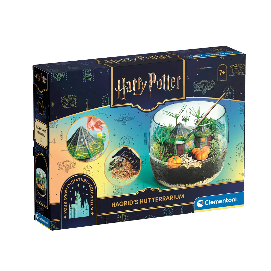 Build Your Own Terrarium