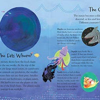 A Hole in the Bottom of the Sea Book