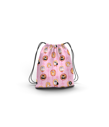 Shoe Bag