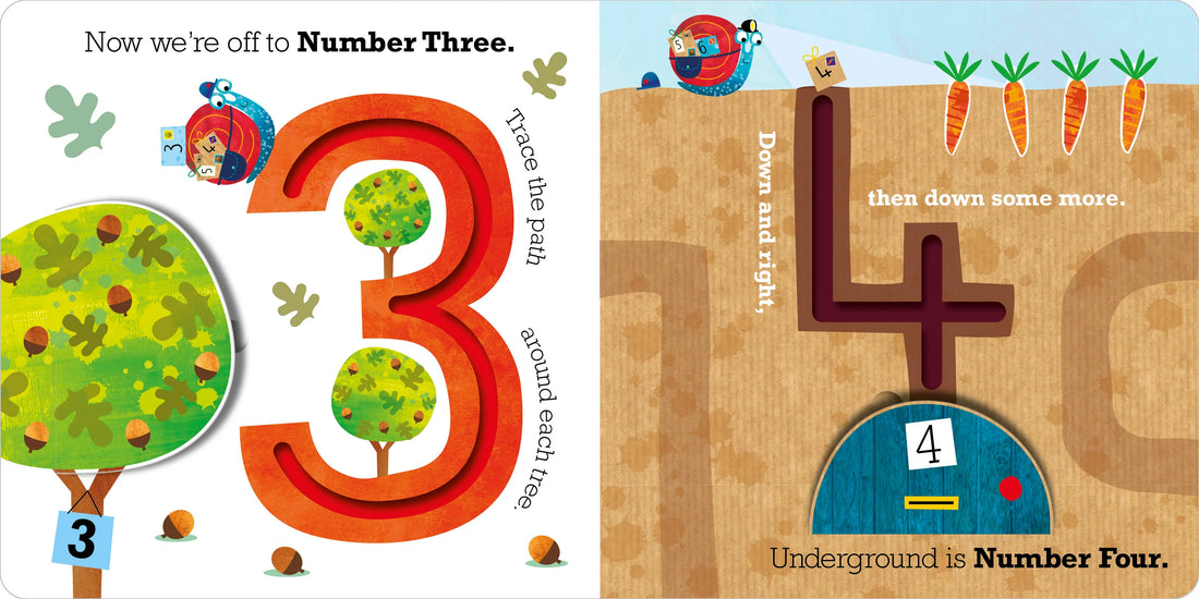 Mr. Snails Counting Trails Book