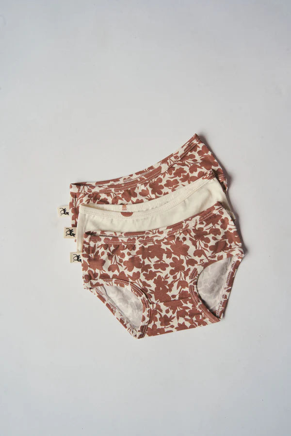 Kids Undies 3 pack