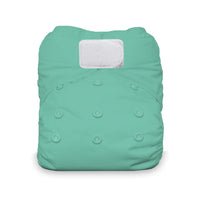 Natural One Size All in One Cloth Diaper
