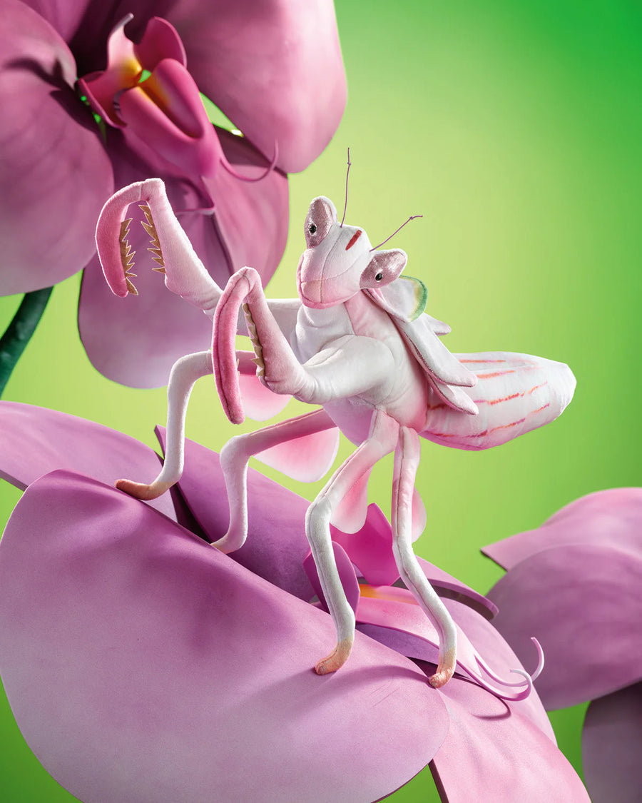 Orchid Mantis Puppet