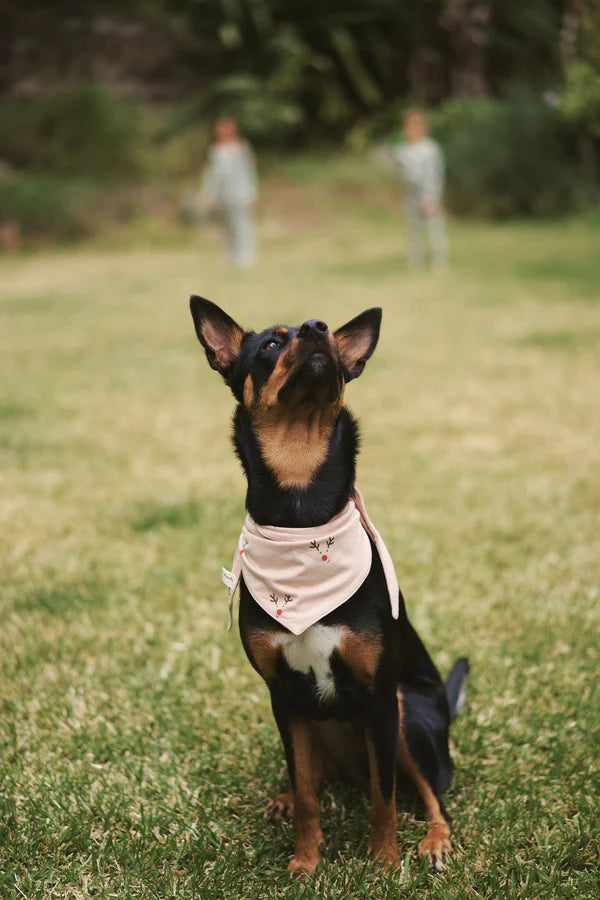 Pet Bandana - Reindeer