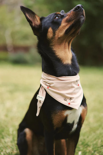 Pet Bandana - Reindeer