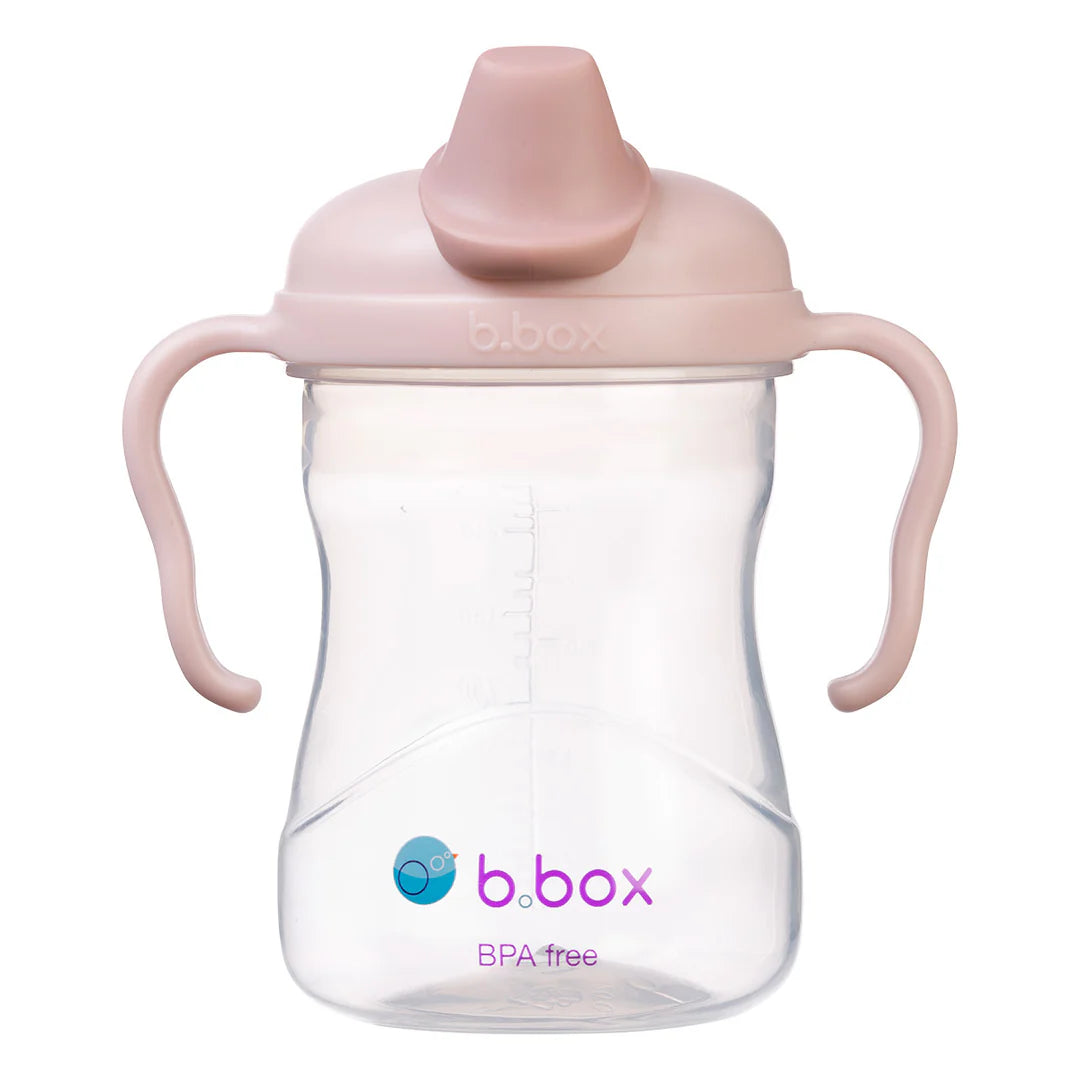 Spout Sippy Cup