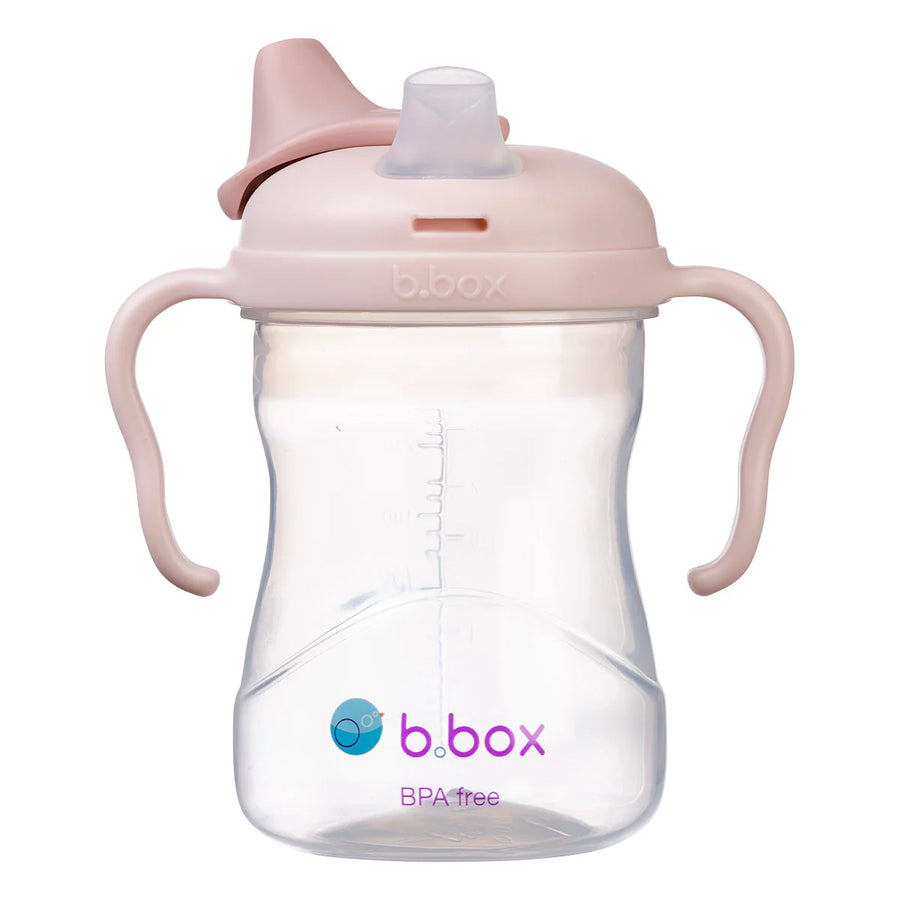 Spout Sippy Cup