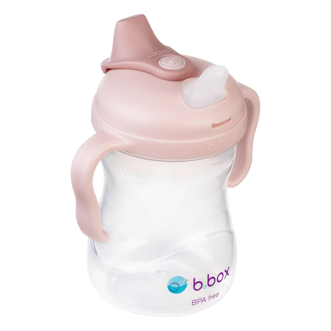 Spout Sippy Cup