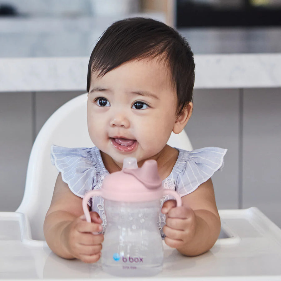 Spout Sippy Cup
