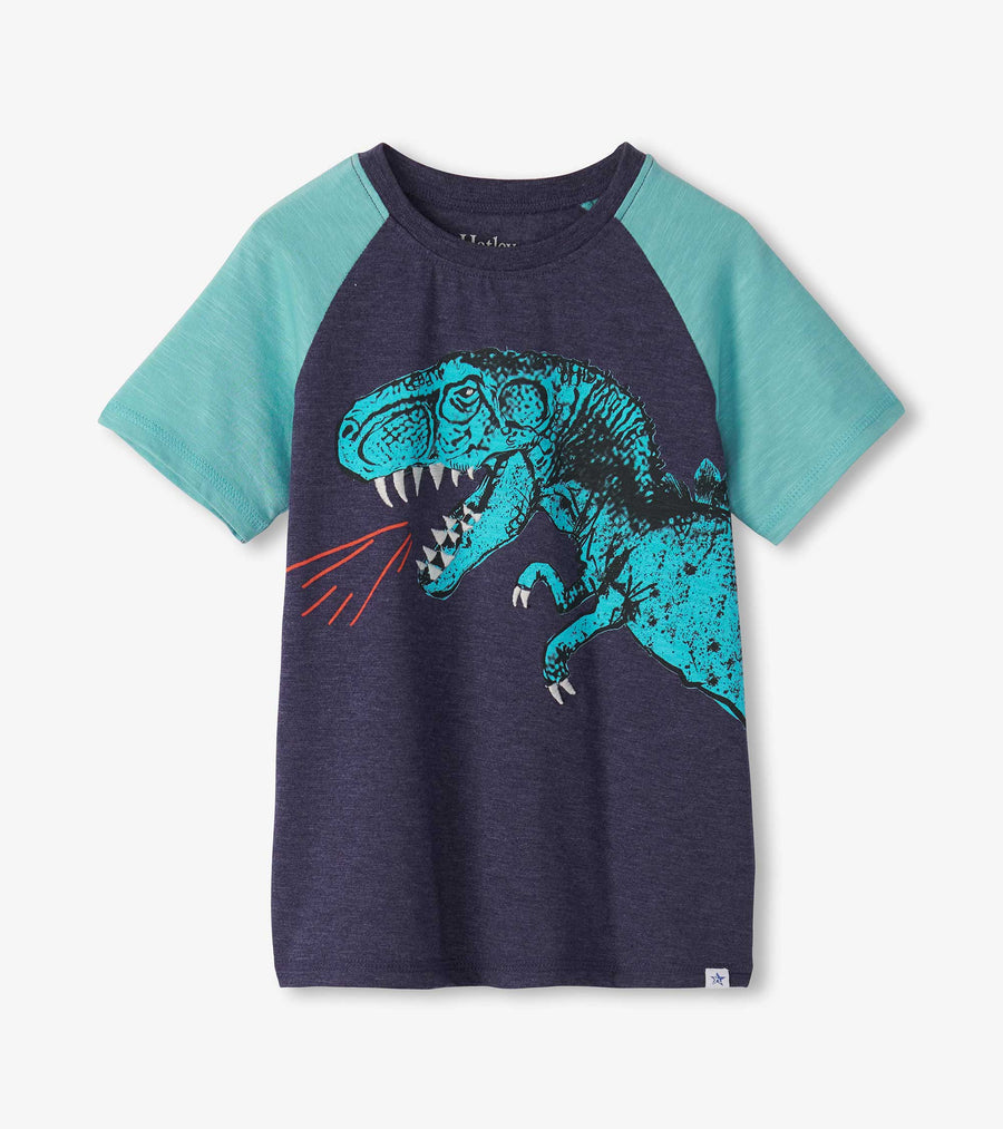 Boys T-Rex Raglan T-Shirt