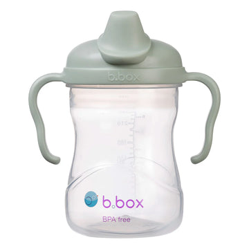 Spout Sippy Cup