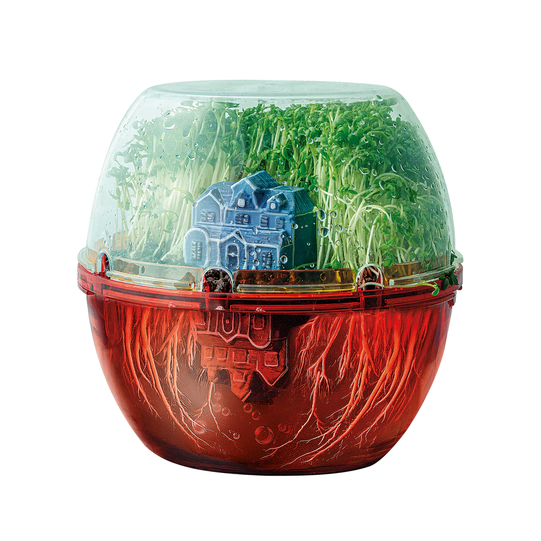 Build Your Own Terrarium