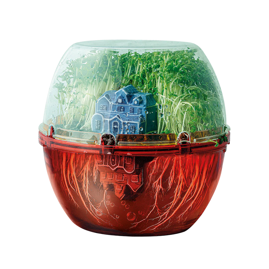 Build Your Own Terrarium