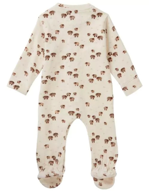 Baby Tolleson Long Sleeve Print Playsuit