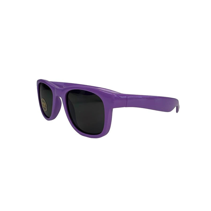 Iconic Style Sunglasses