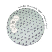 Bamboo Playmat & Monthly Sign Set