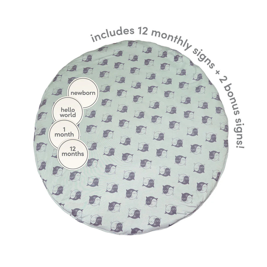 Bamboo Playmat & Monthly Sign Set